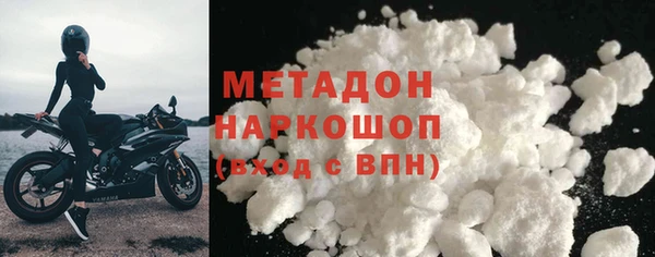 прущие грибы Гусев