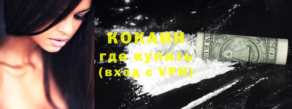 прущие грибы Гусев