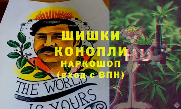 ГАЛЛЮЦИНОГЕННЫЕ ГРИБЫ Гусь-Хрустальный