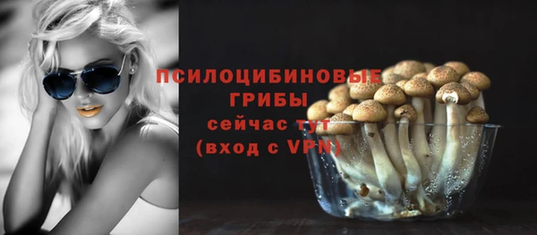 стафф Горняк