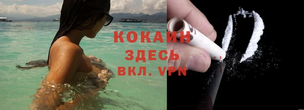 прущие грибы Гусев