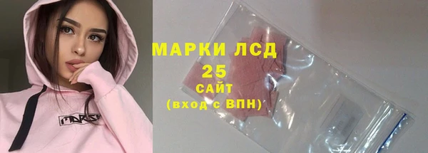 прущие грибы Гусев