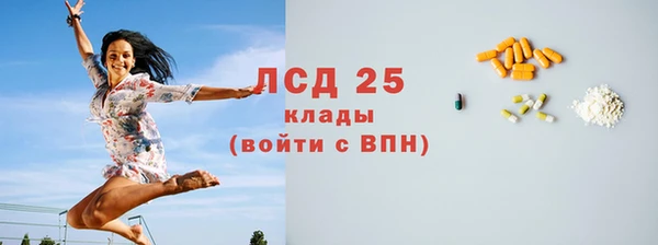 шишки Горнозаводск