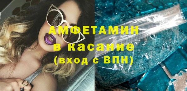 прущие грибы Гусев