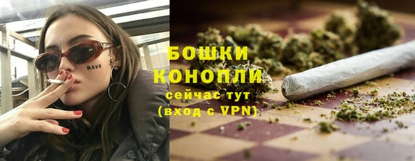 шишки Горнозаводск
