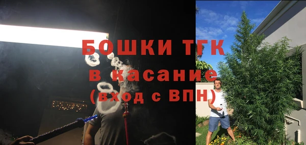 стафф Горняк