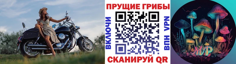 Купить закладки  Кувшиново  Галлюциногенные грибы Magic Shrooms 